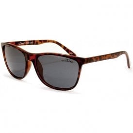 Coast P606 Brown Tort Polarised Grey
