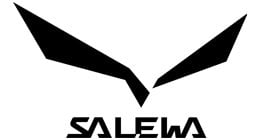 SALEWA Ortles Ascent Mid GTX
