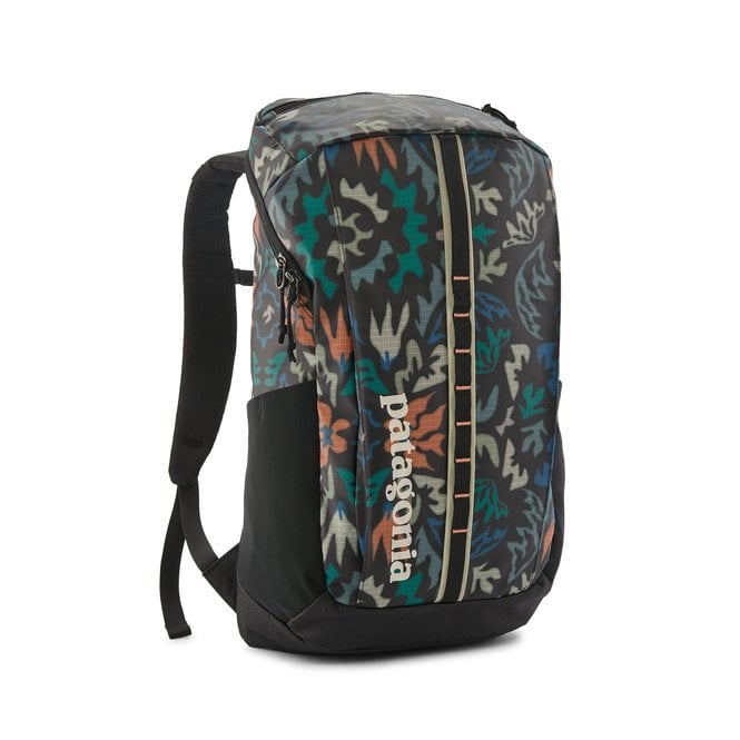 Patagonia Black Hole Pack 25L